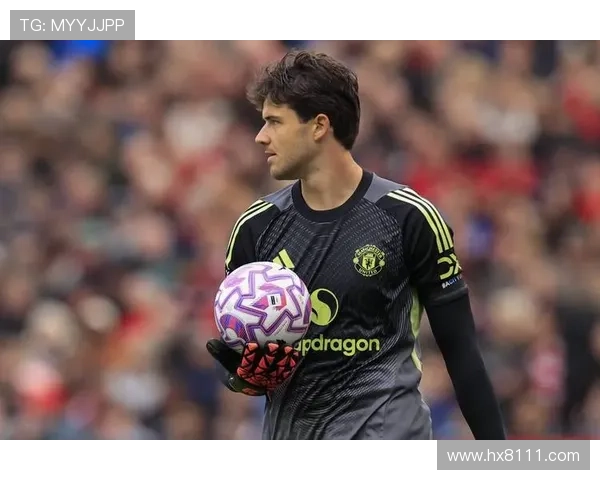 特尔盼弗兰克存疑重启热刺生涯